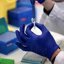 Covid, Rezza: \"Presenza diffusa delle varianti in Italia\"