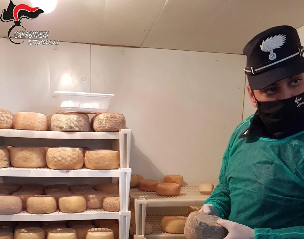 San Lorenzo del Vallo, sequestrati oltre 3 quintali di prodotti caseari
