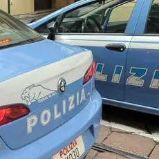 Fermati con cinque cuccioli a bordo: due denunce per traffico illecito di animali a Villa San Giovanni\n