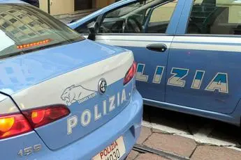 Fermati con cinque cuccioli a bordo: due denunce per traffico illecito di animali a Villa San Giovanni\n