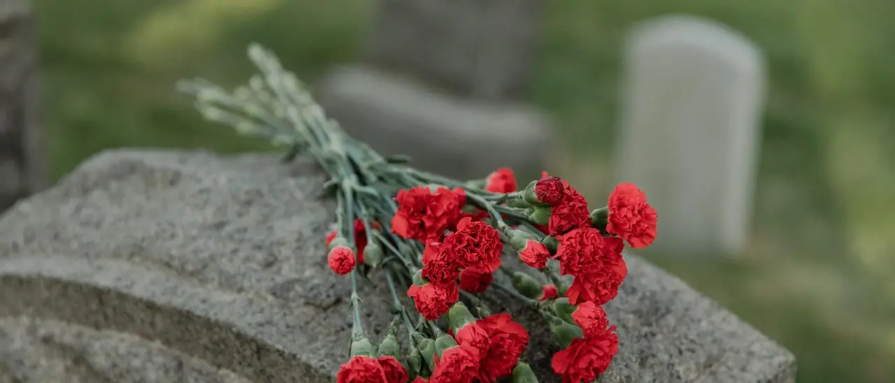 Chiamare il medico o morire in casa? Quale destino per i calabresi?\n