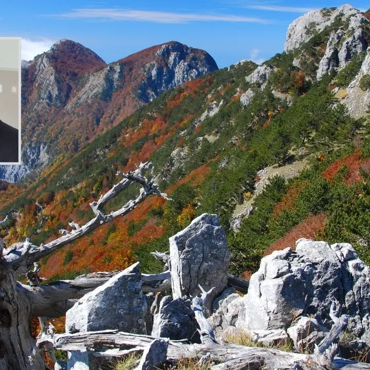 «La Calabria è l’ultima terra esotica d’Europa»: il viaggio di Francesco Bevilacqua tra magia, bellezza e mistero