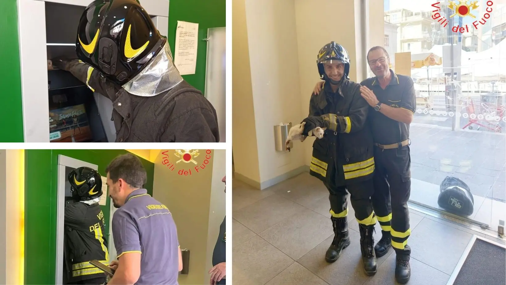 Insolito salvataggio a Lamezia, i vigili del fuoco tirano fuori un gattino da uno sportello bancomat\n