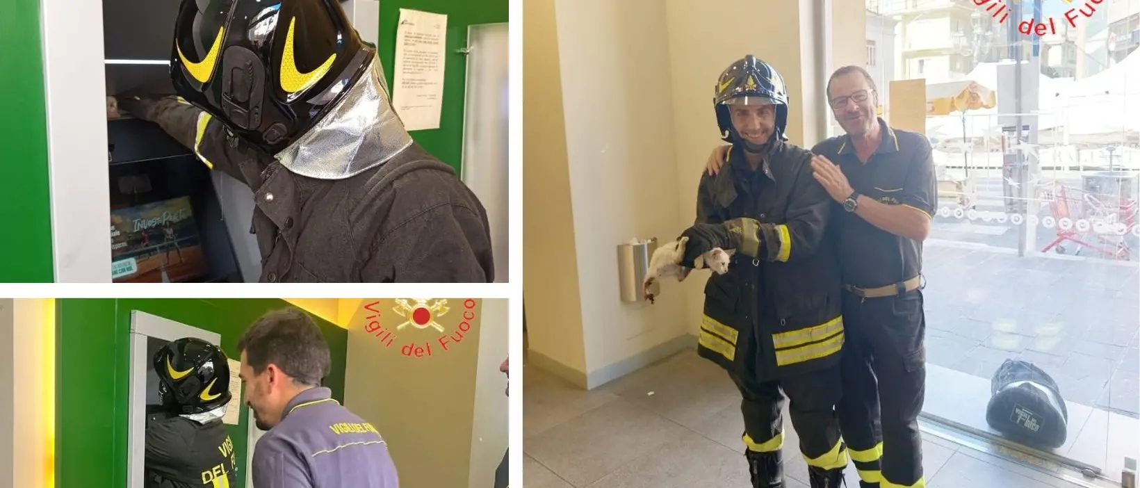 Insolito salvataggio a Lamezia, i vigili del fuoco tirano fuori un gattino da uno sportello bancomat\n