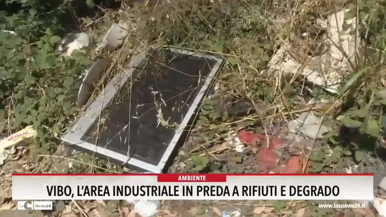 Vibo, l'area industriale in preda a rifiuti e degrado