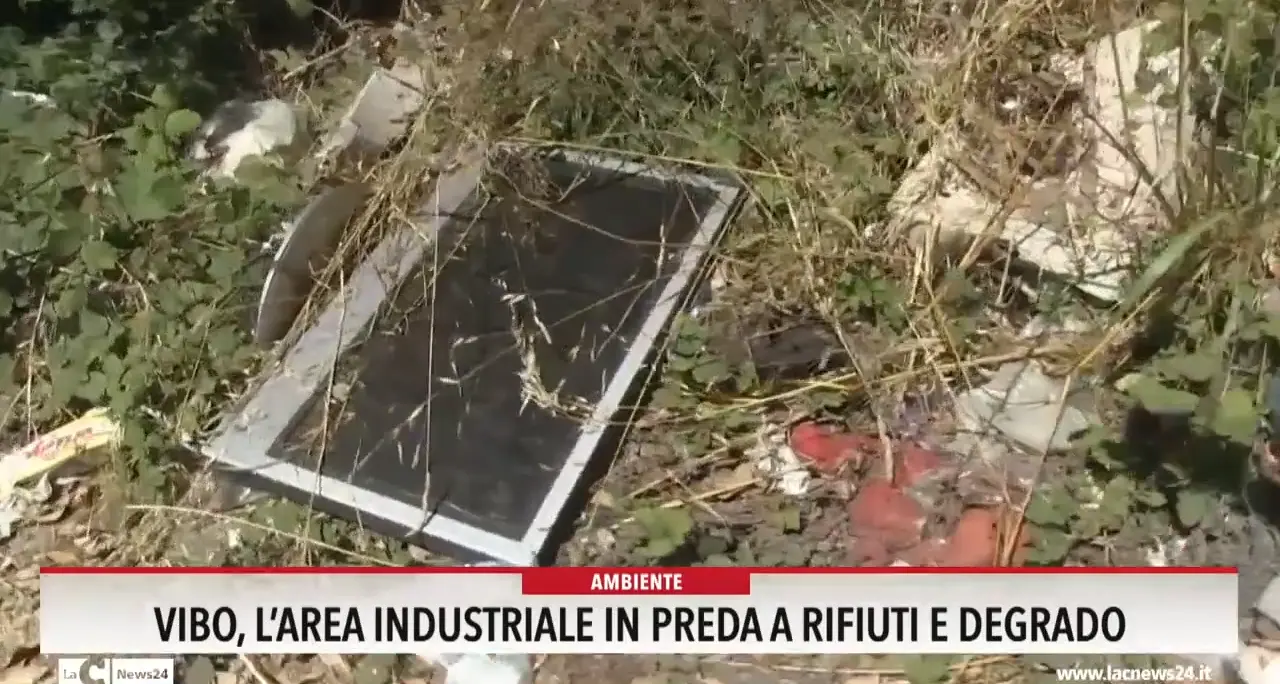 Vibo, l'area industriale in preda a rifiuti e degrado
