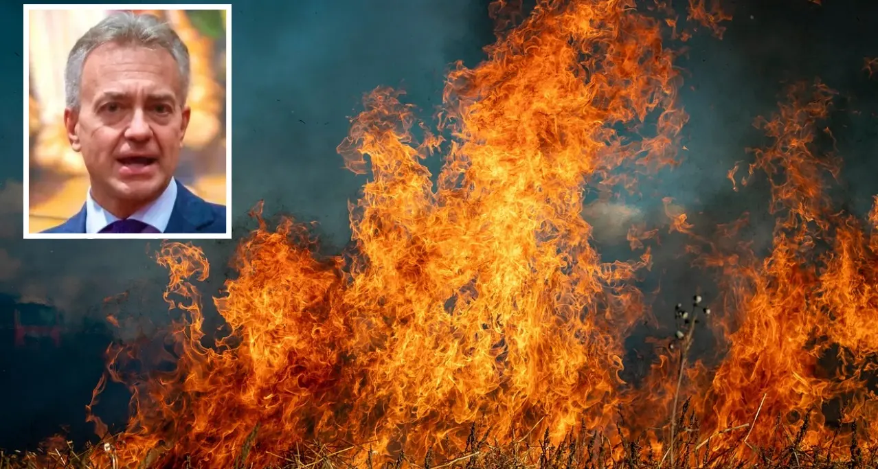 Incendi in Calabria, Gallo replica al Pd: «Nessuna emergenza. Qui -50% di eventi rispetto al resto d’Italia»\n