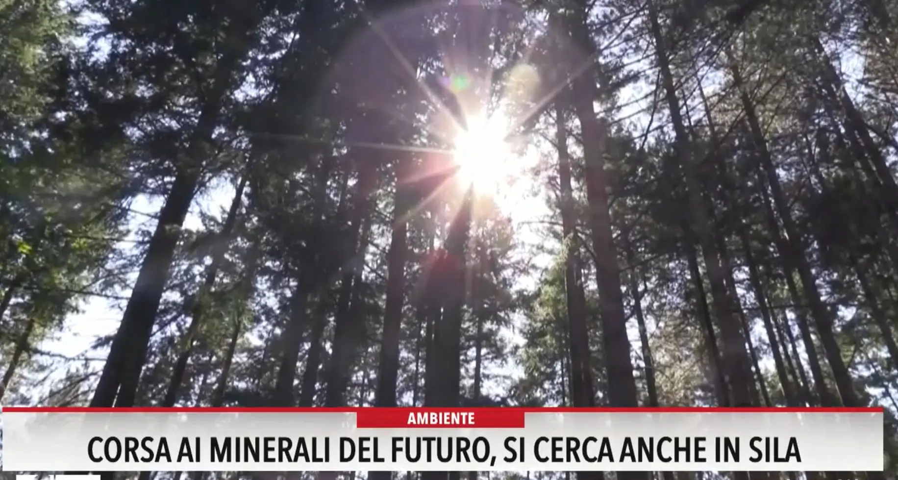 Corsa ai minerali del futuro, si cerca anche in Sila