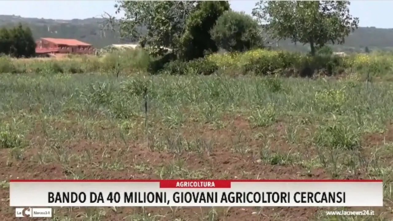 Bando da 40 milioni, giovani agricoltori cercansi