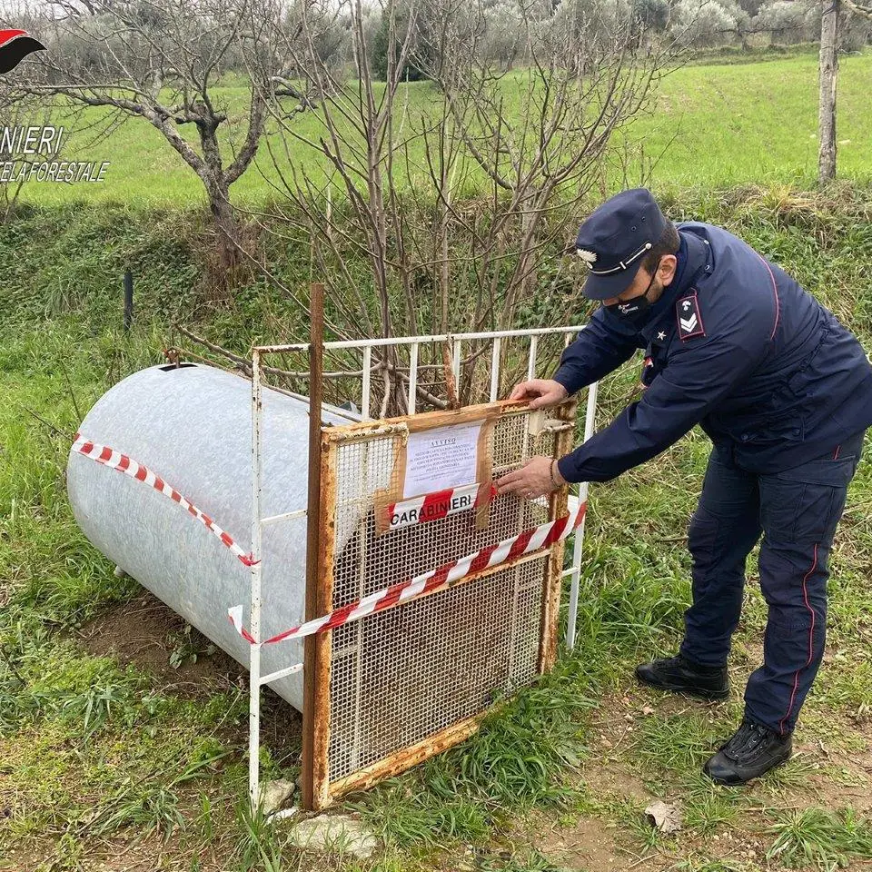 Tutela della fauna: i Carabinieri Forestale sequestrano una trappola illecita