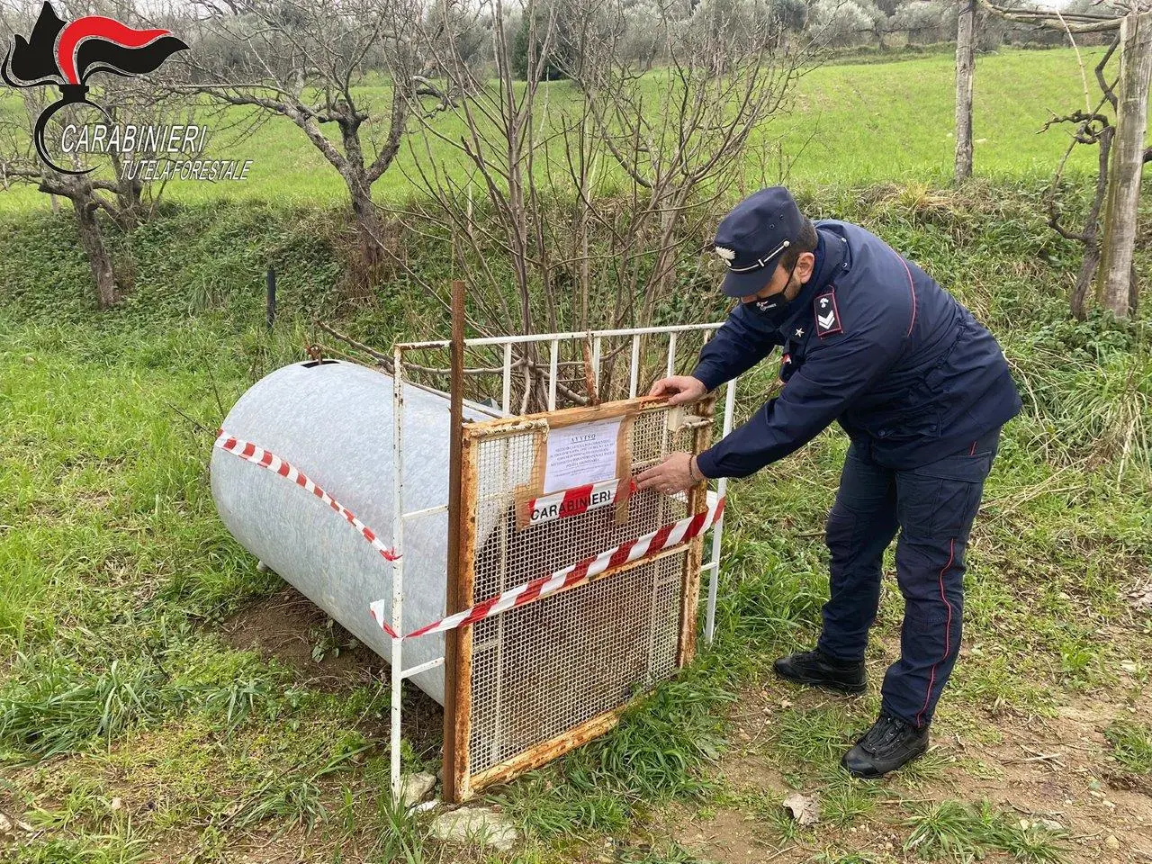 Tutela della fauna: i Carabinieri Forestale sequestrano una trappola illecita