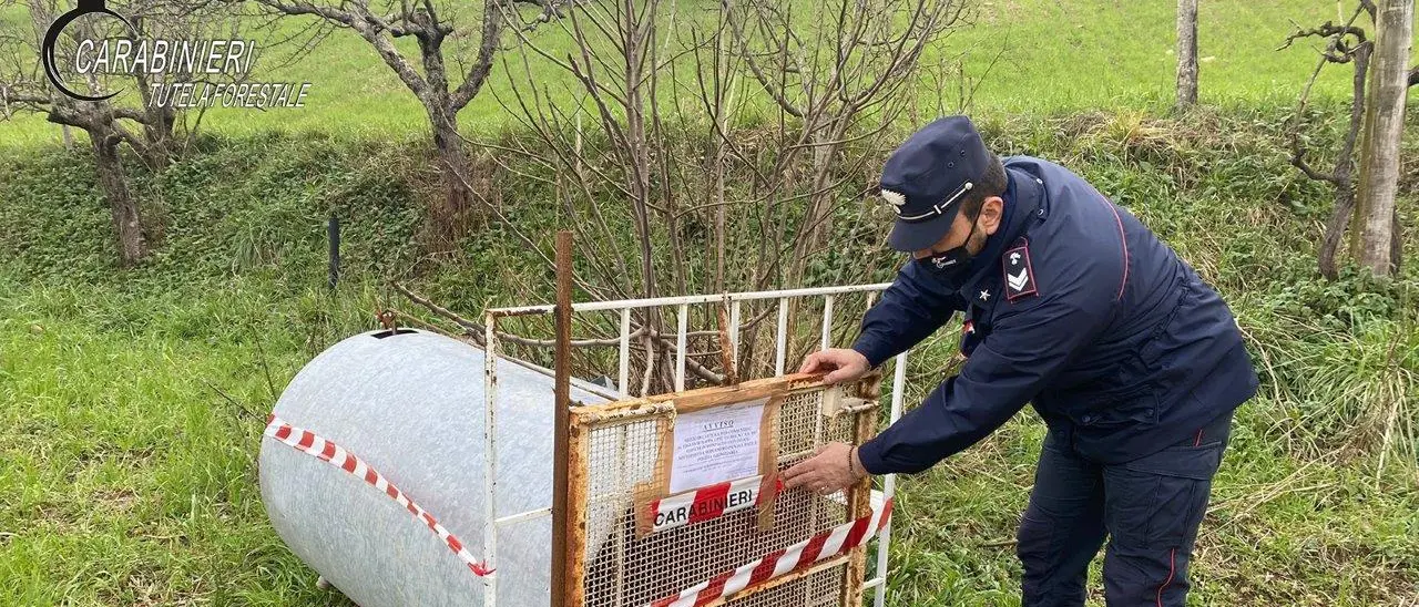 Tutela della fauna: i Carabinieri Forestale sequestrano una trappola illecita