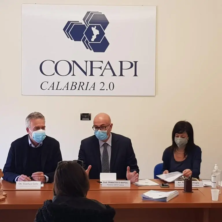 Le proposte di Confapi all’assessore regionale Gianluca Gallo