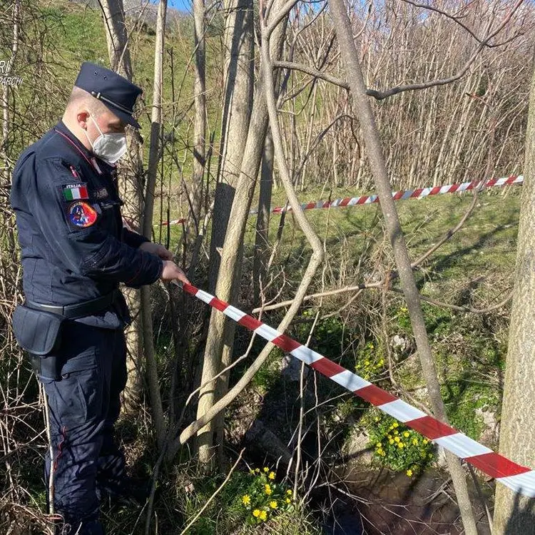 Morano Calabro, scaricava i liquami del caseificio nel canale: scatta il sequestro