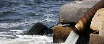 Covid, l'Iss: \"Variante inglese e brasiliana in acque di scarico\"