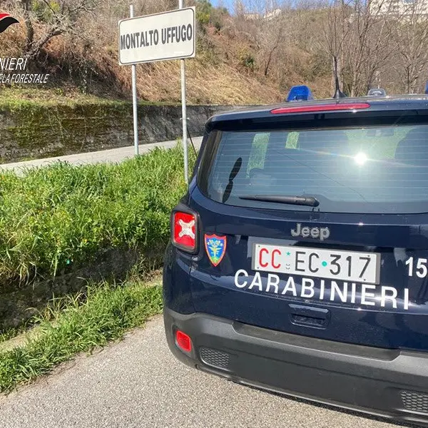 Incendi per rinnovare i pascoli e violazione di sigilli