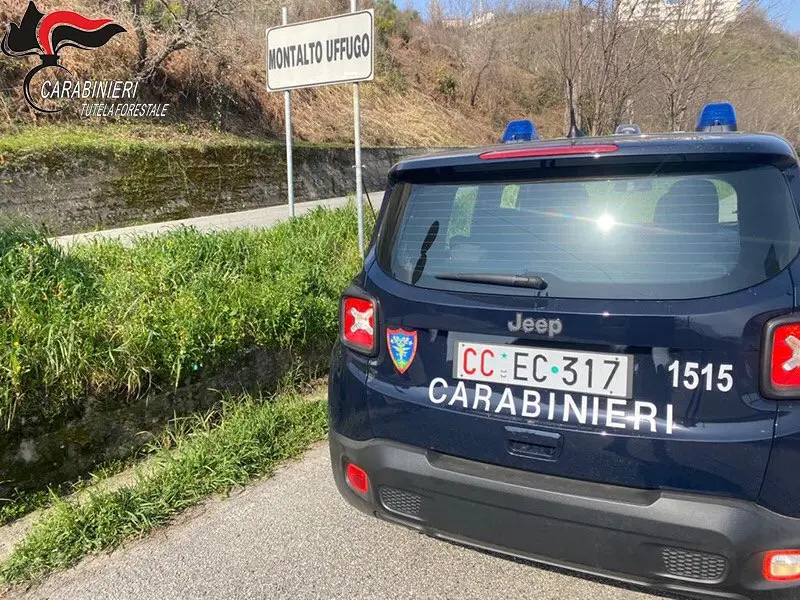 Incendi per rinnovare i pascoli e violazione di sigilli