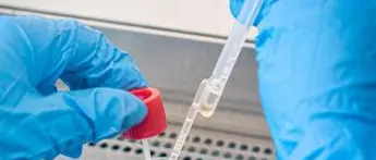 Covid Puglia, 1.053 nuovi contagi e 16 morti: bollettino