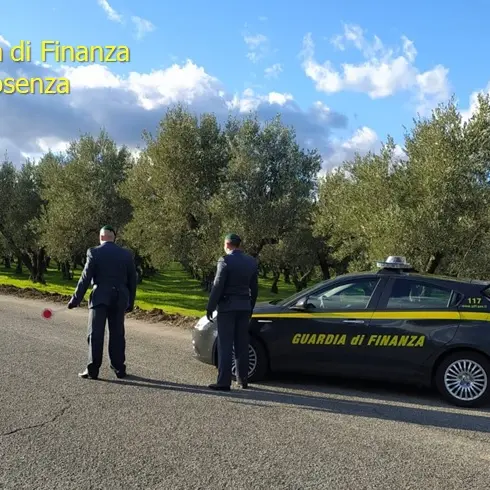 San Marco Argentano, sequestrati 200mila euro a un imprenditore agricolo: i dettagli