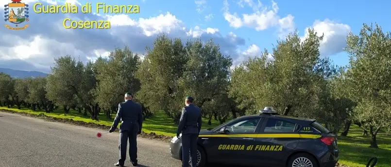 San Marco Argentano, sequestrati 200mila euro a un imprenditore agricolo: i dettagli