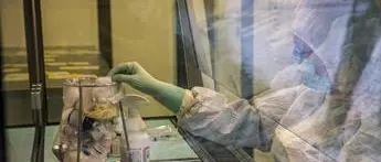 Covid Liguria, oggi 337 contagi e 4 morti: bollettino 29 marzo