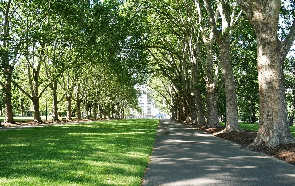 Cosenza diventa una città sempre più \"Green\"