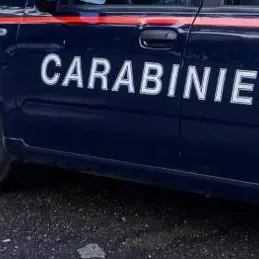 Castrovillari, furti in città: i carabinieri arrestano un giovane