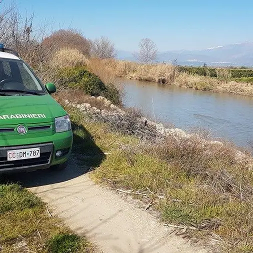 Area urbana di Corigliano: sequestrati agrumeti occupati abusivamente