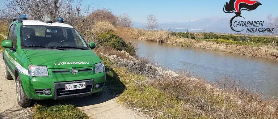 Area urbana di Corigliano: sequestrati agrumeti occupati abusivamente