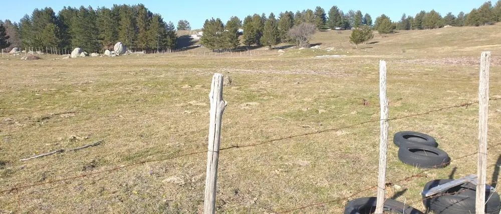 San Giovanni in Fiore, numerosi siti con rifiuti: interviene la Polizia Provinciale