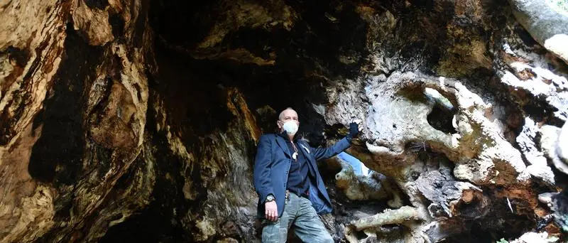 Platano di Curinga, De Caprio: «Fieri del risultato»