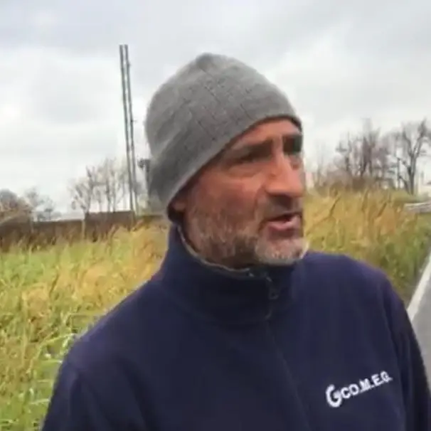 Cinghiali sulla Statale 106: grave scontro avvenuto a Mandatoriccio