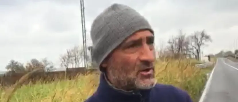 Cinghiali sulla Statale 106: grave scontro avvenuto a Mandatoriccio