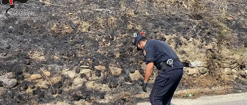 Incendio boschivo doloso, indagato un 41enne di Lattarico