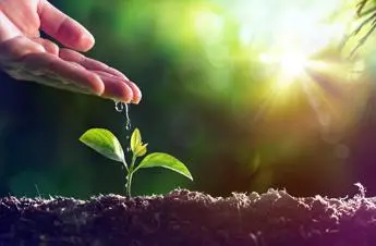 Un patto a favore delle imprese agricole sostenibili del territorio calabrese