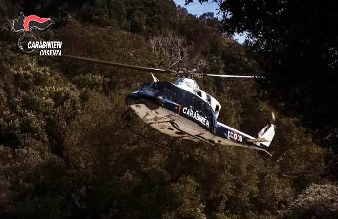 Mendicino: i Carabinieri recuperano i 4 mezzi per la raccolta dei rifiuti rubati nella notte