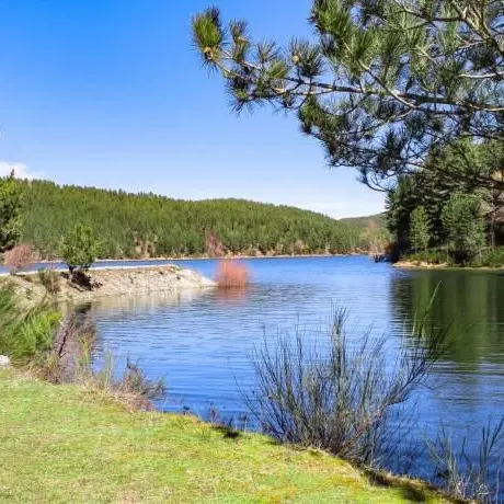 Al Parco Nazionale della Sila si è tenuto un importante webinar