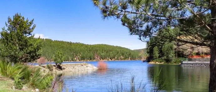 Al Parco Nazionale della Sila si è tenuto un importante webinar