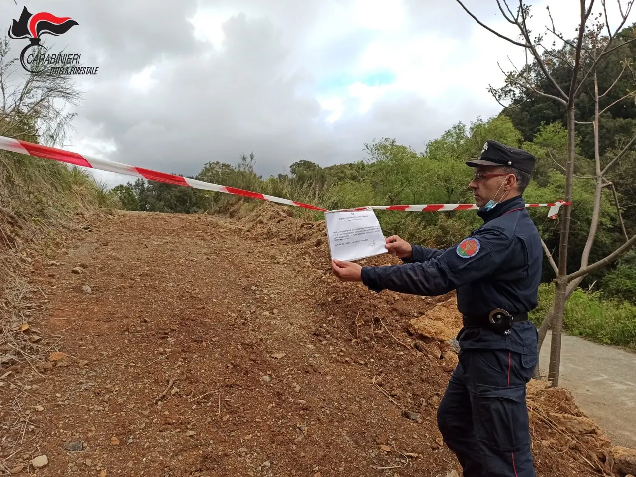 Controlli dei Carabinieri Forestali nel Comune di Verbicaro e San Nicola Arcella
