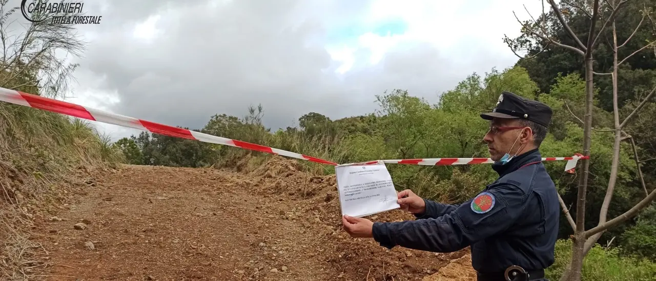 Controlli dei Carabinieri Forestali nel Comune di Verbicaro e San Nicola Arcella