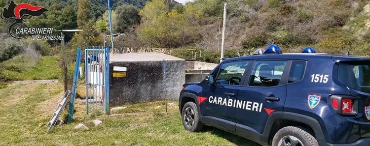 Controlli lungo la fascia jonica dell’alto cosentino da parte dei Carabinieri Forestale