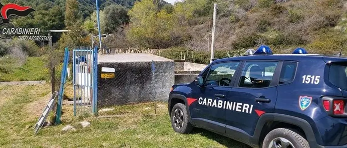 Controlli lungo la fascia jonica dell’alto cosentino da parte dei Carabinieri Forestale