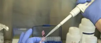 Covid Valle d'Aosta, oggi 37 contagi e 1 morto: bollettino 28 aprile