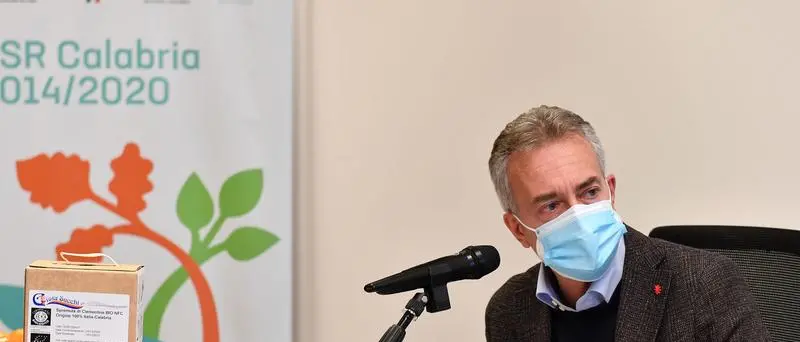 Agricoltura, Regione incontra partenariato e stakeholder