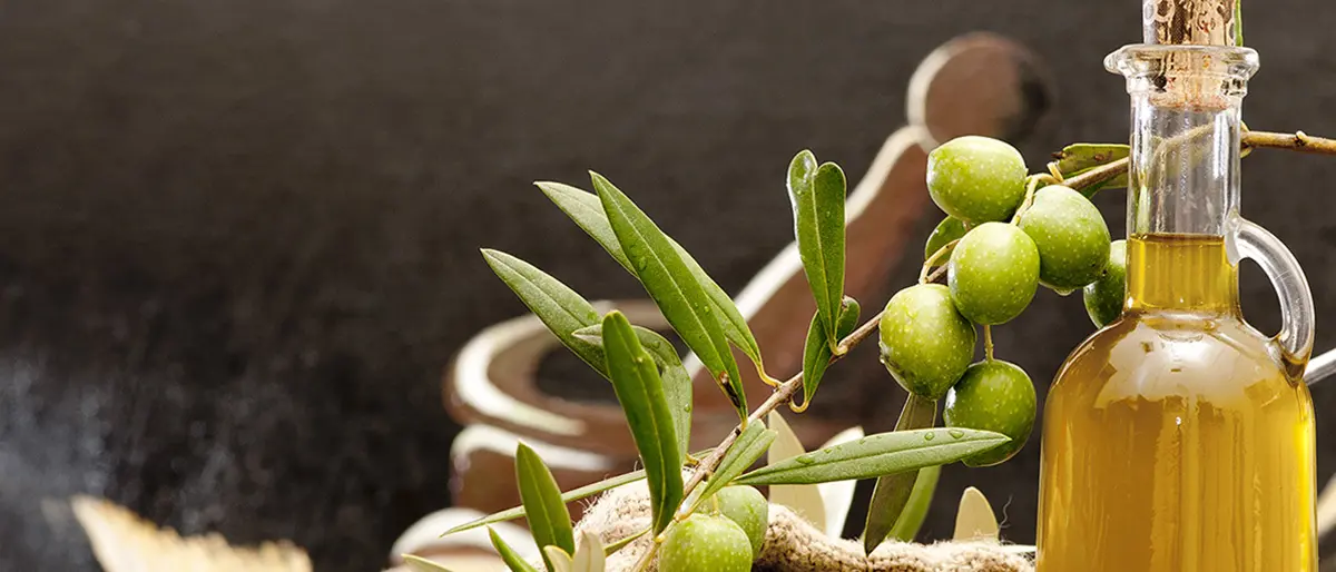 Coldiretti Calabria: stagione ottima per l’uliveto Calabria