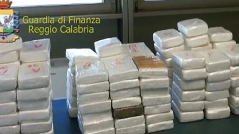'Ndrangheta, blitz tra l'Italia e la Colombia. 21 narcos in manette