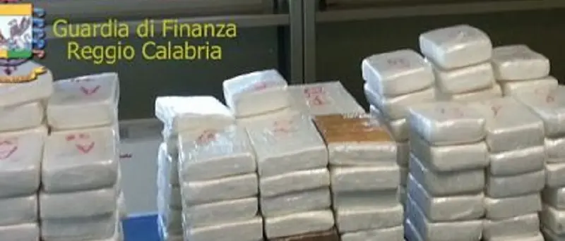 'Ndrangheta, blitz tra l'Italia e la Colombia. 21 narcos in manette