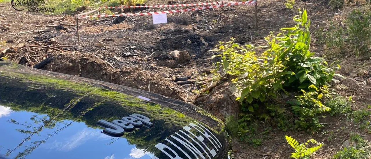Bruciava pneumatici. Denunciato dai Carabinieri Forestale di Montalto
