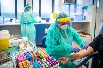 Covid, anticorpi per almeno 8 mesi dopo infezione: studio italiano