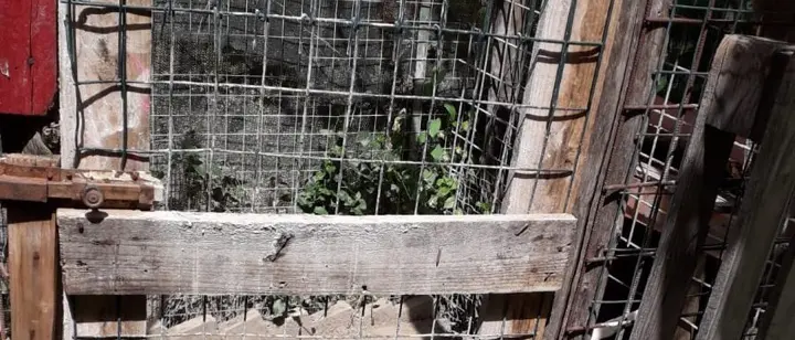 Mendicino, sequestro effettuato dalla Polizia Provinciale